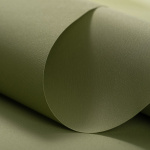 Рулонная штора «Toledo» ø28 фурнитура Хром. Ткань коллекции «Плэин» Фисташковый